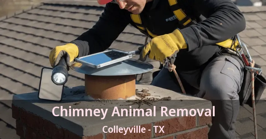 Chimney Animal Removal Colleyville - TX Chimney Animal Removal Colleyville - TX