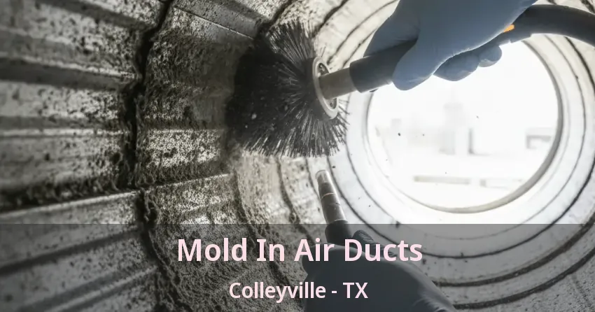 Mold In Air Ducts Colleyville - TX