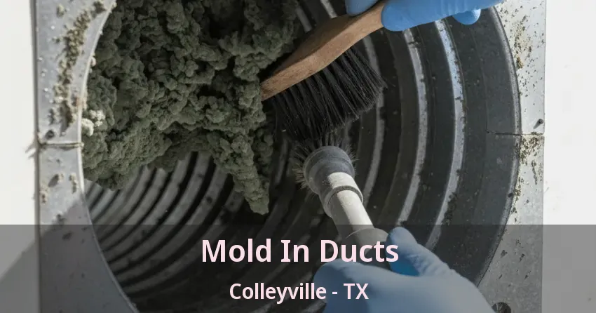 Mold In Ducts Colleyville - TX