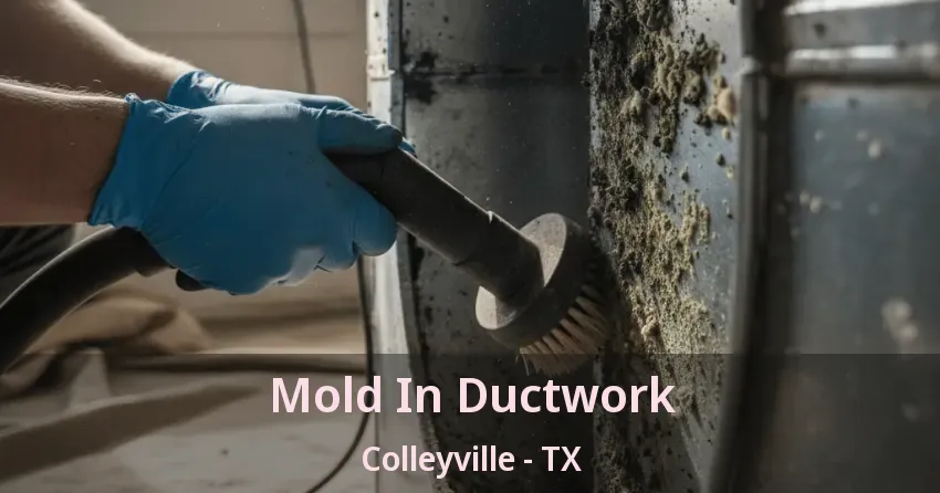 Mold In Ductwork Colleyville - TX