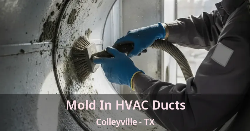 Mold In HVAC Ducts Colleyville - TX