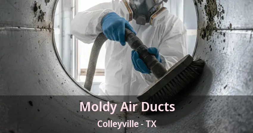 Moldy Air Ducts Colleyville - TX